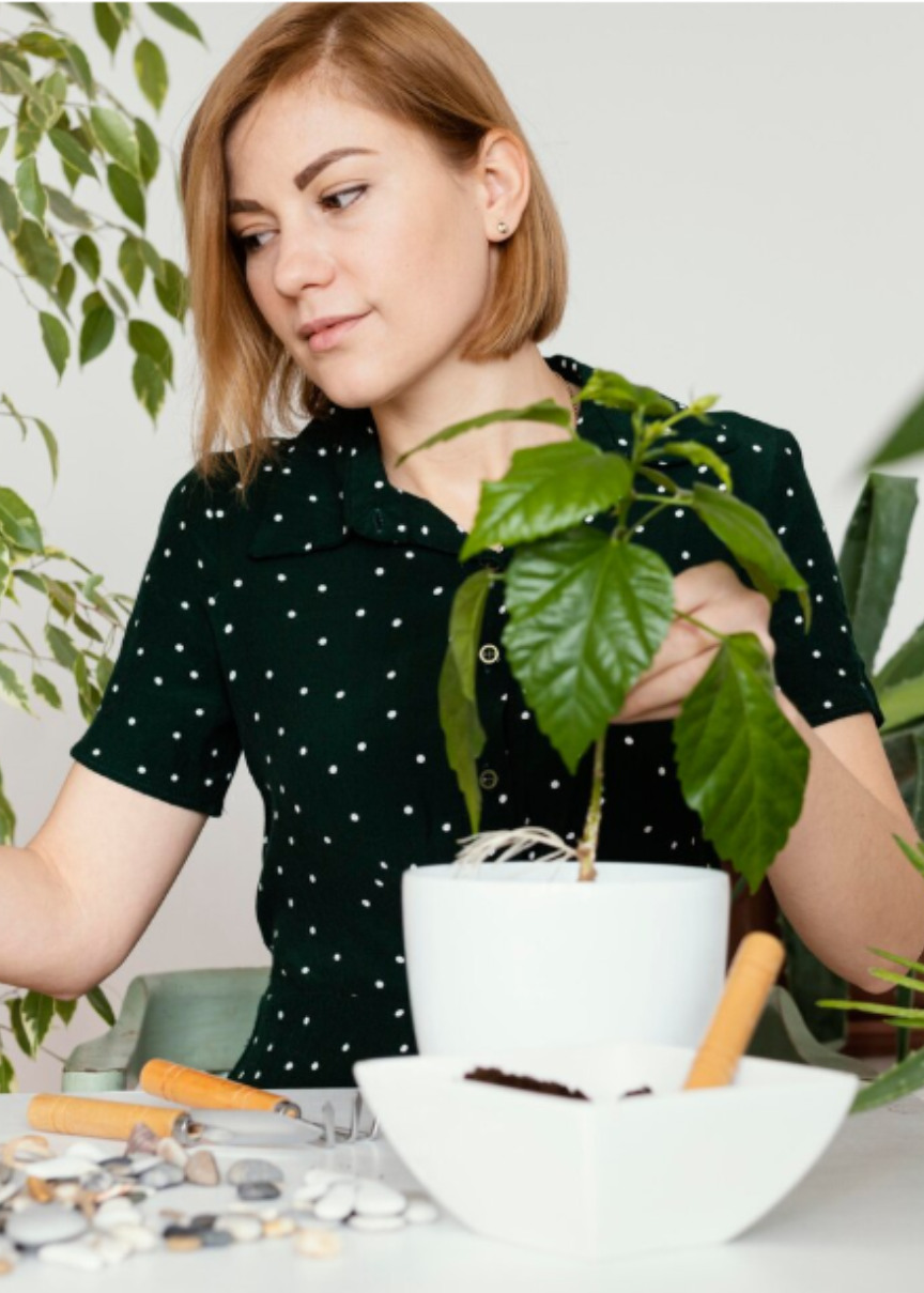 Are These Natural Herbal Products Worth Buying?